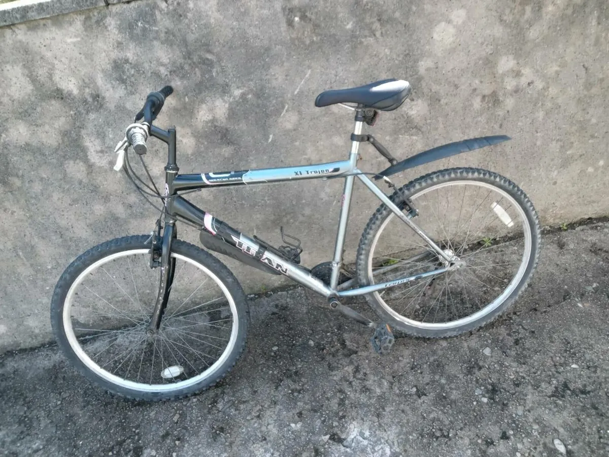 Adults bike - Image 2