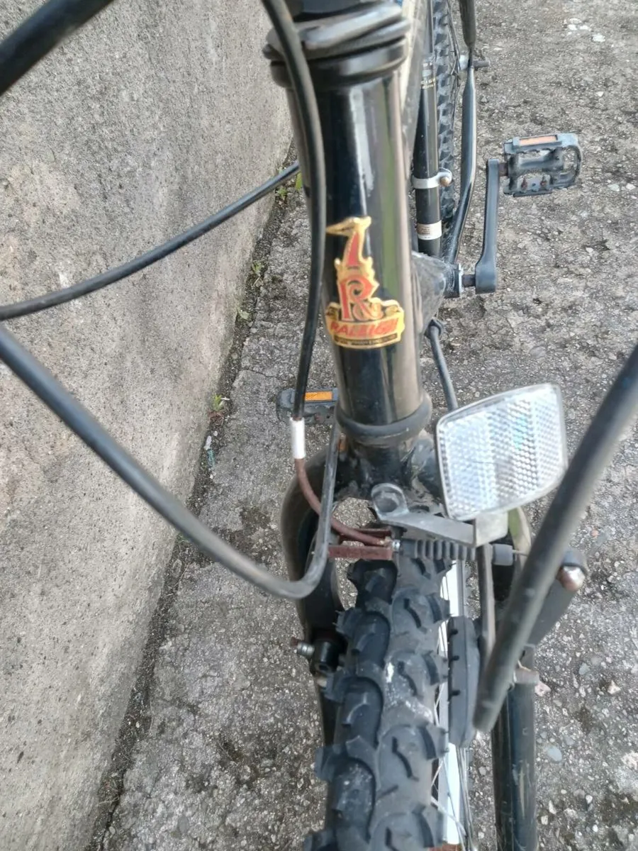Adults bike - Image 2