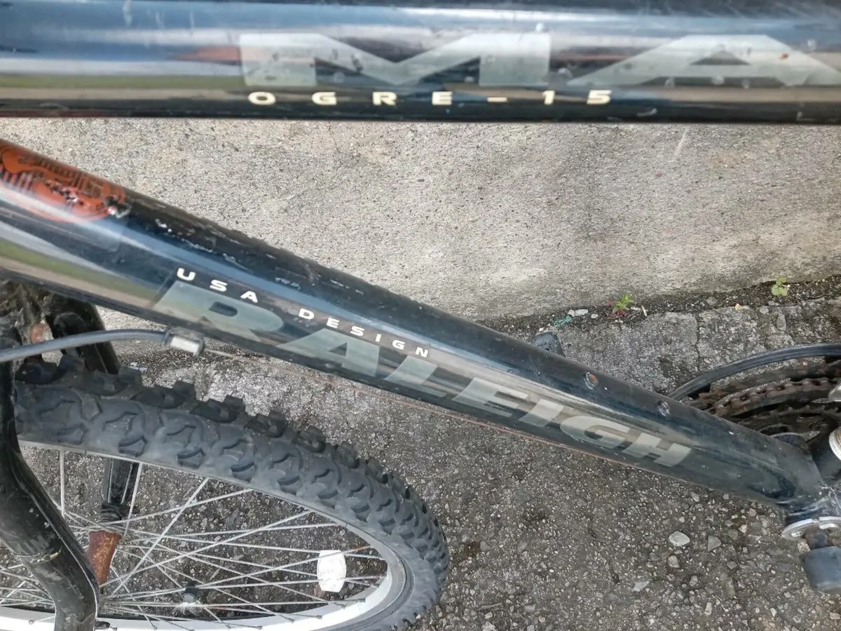 Adults bike - Image 3