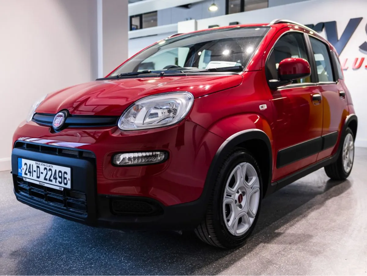 Fiat Panda 1.0 Mhev - Image 3