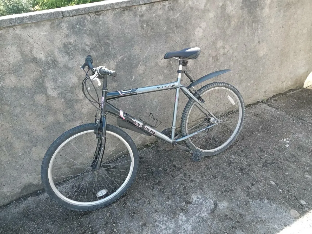 Adults bike - Image 4