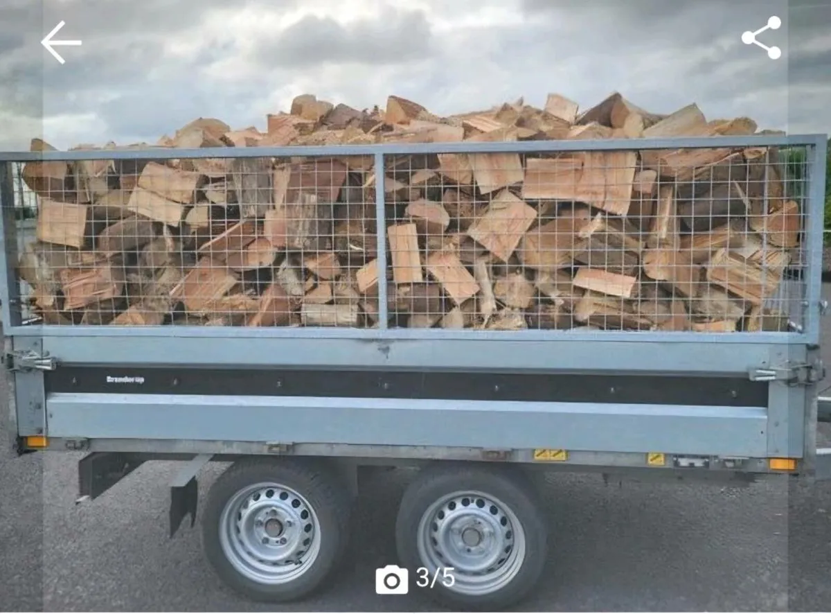 Trailer loads of firewood - Image 1