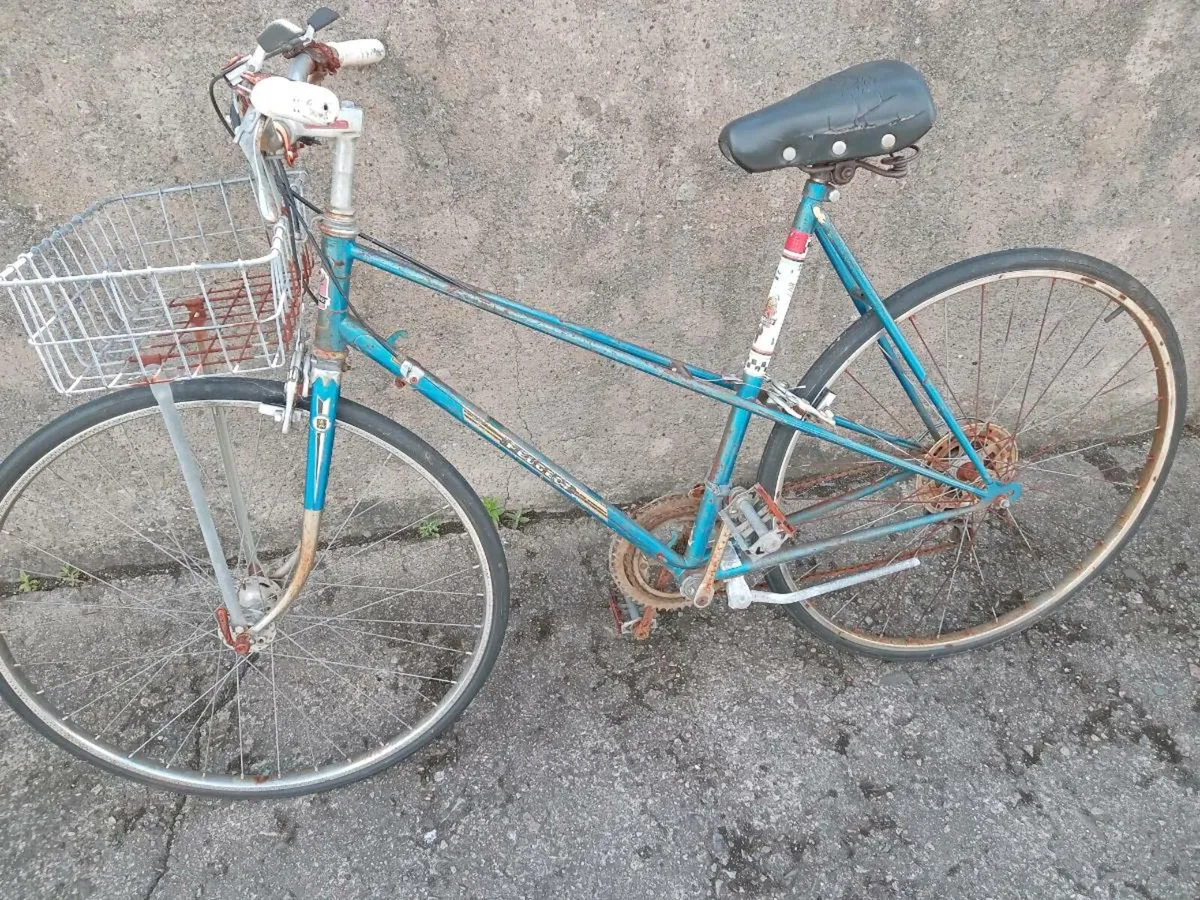 Adults bike - Image 1