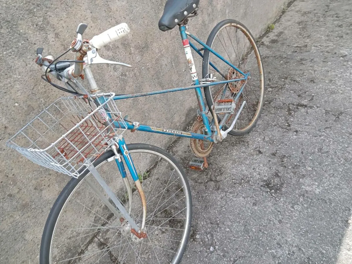Adults bike - Image 3