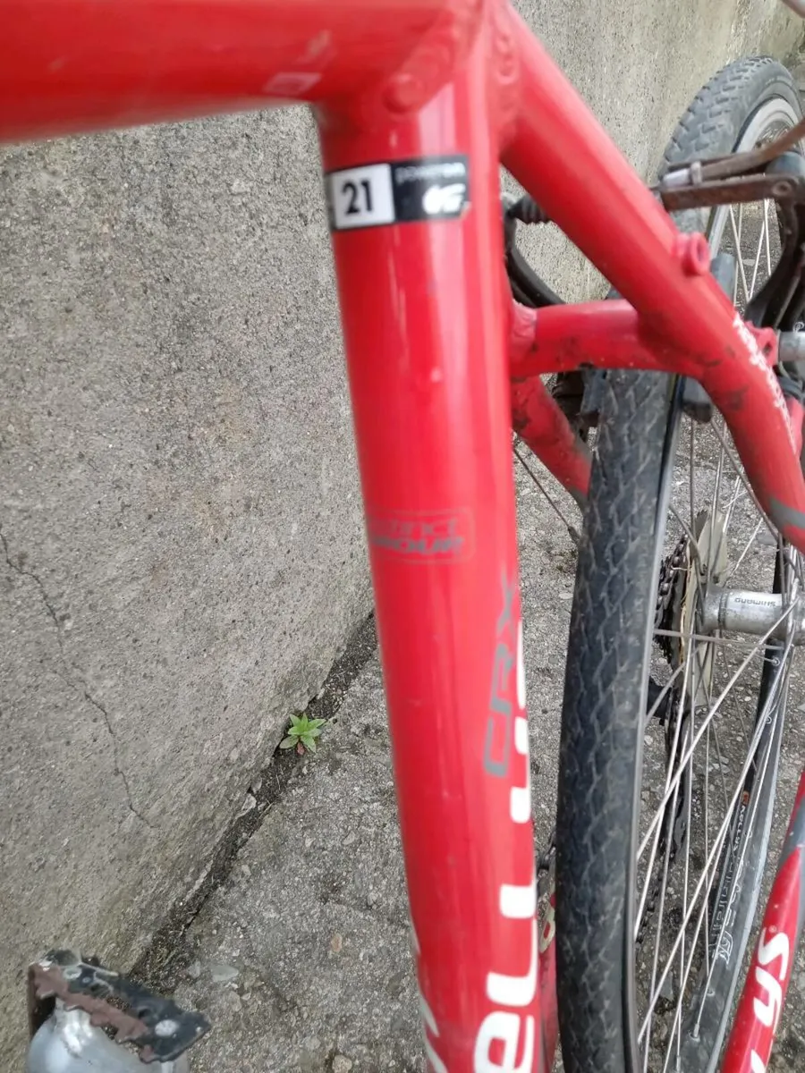 Adults bike - Image 4