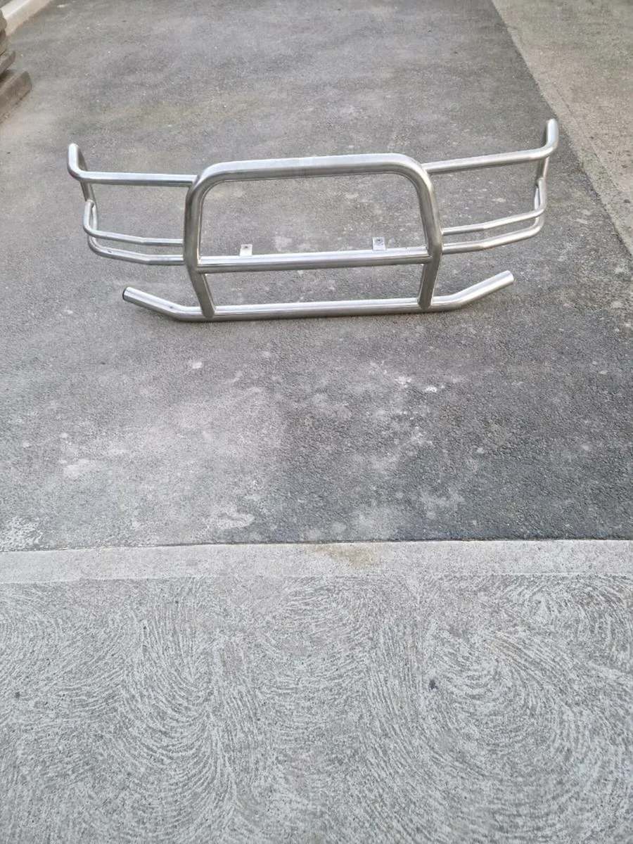 Chrome Bull Bars - Image 1