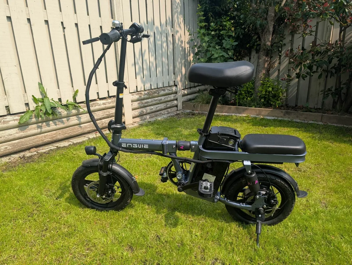 Electric bike - Image 1