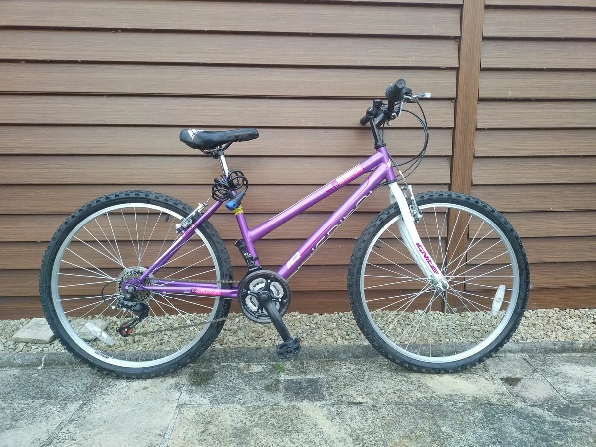 Ladies Bicycle for Sale - Image 3