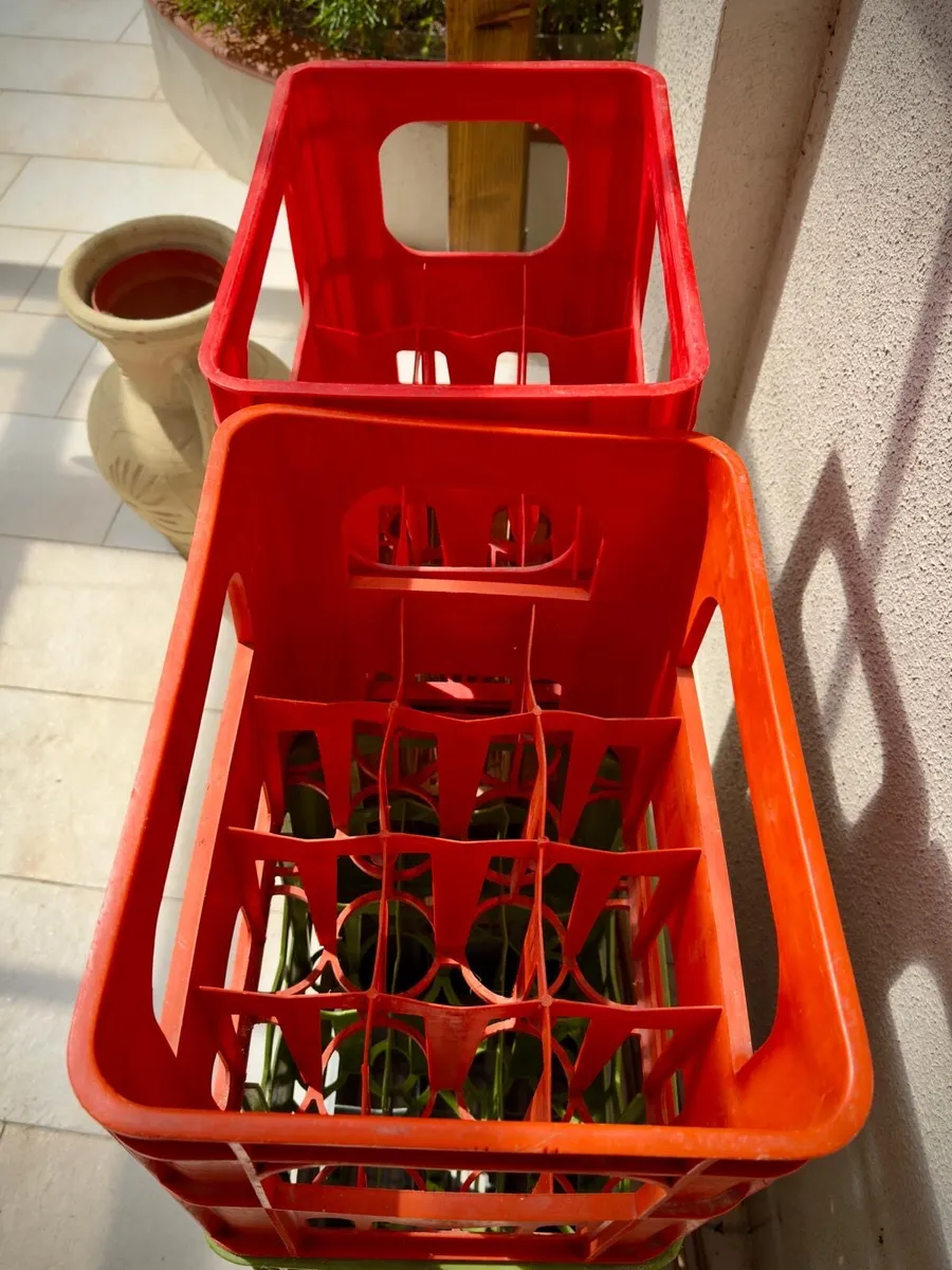 Plastic Crates - Image 1