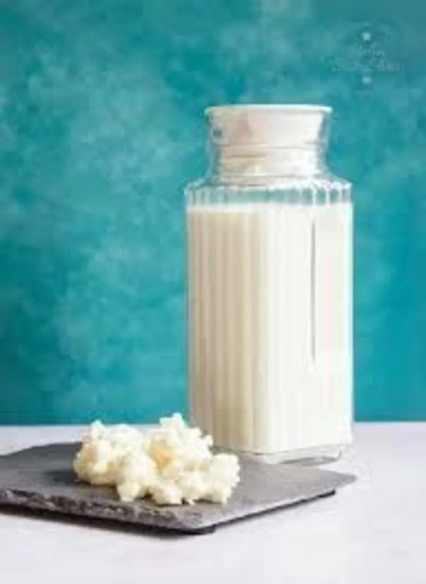 Milk Kefir Grains - Image 2