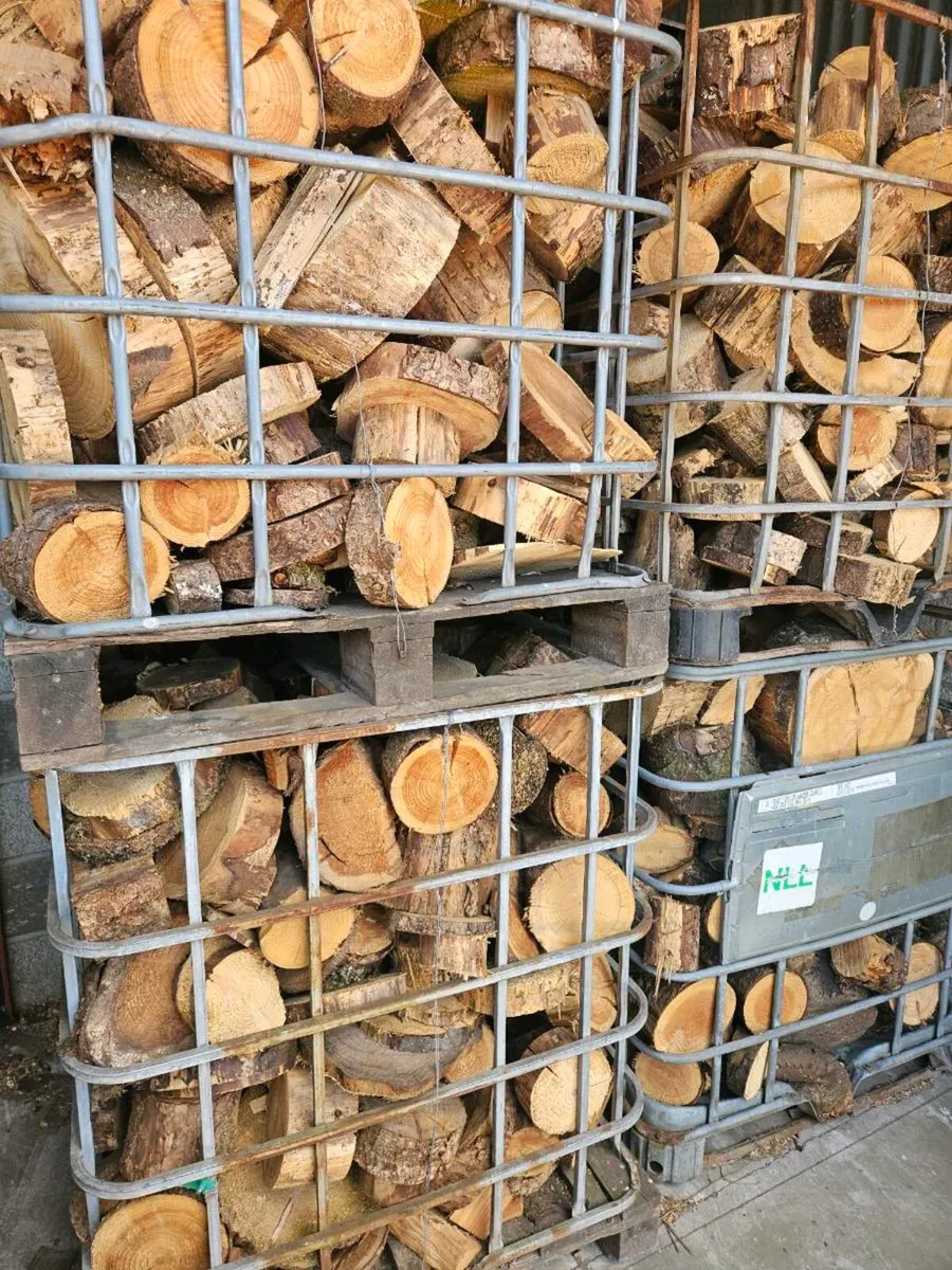 Firewood. Offcuts - Image 1