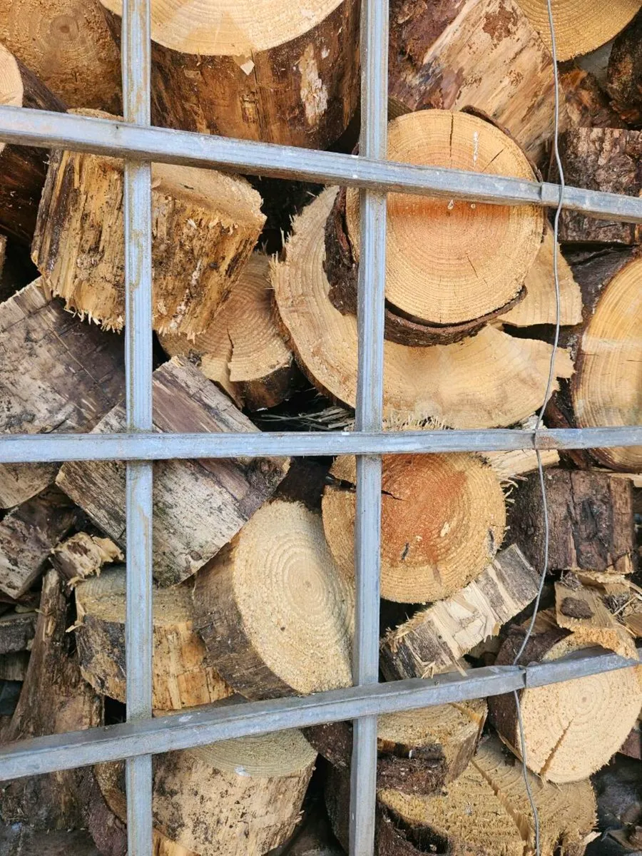 Firewood. Offcuts - Image 3