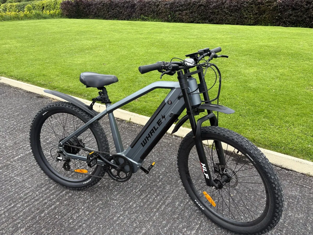 Electric Bike - Image 1