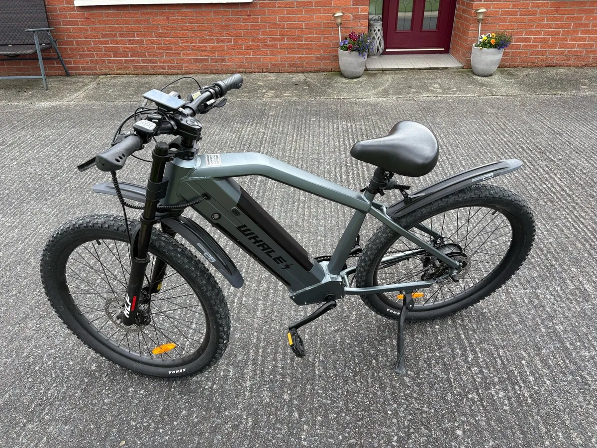 Electric Bike - Image 2