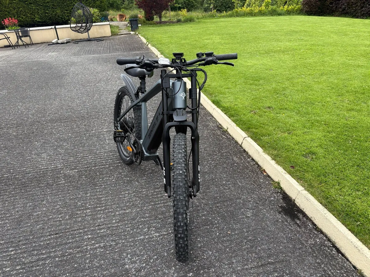 Electric Bike - Image 3