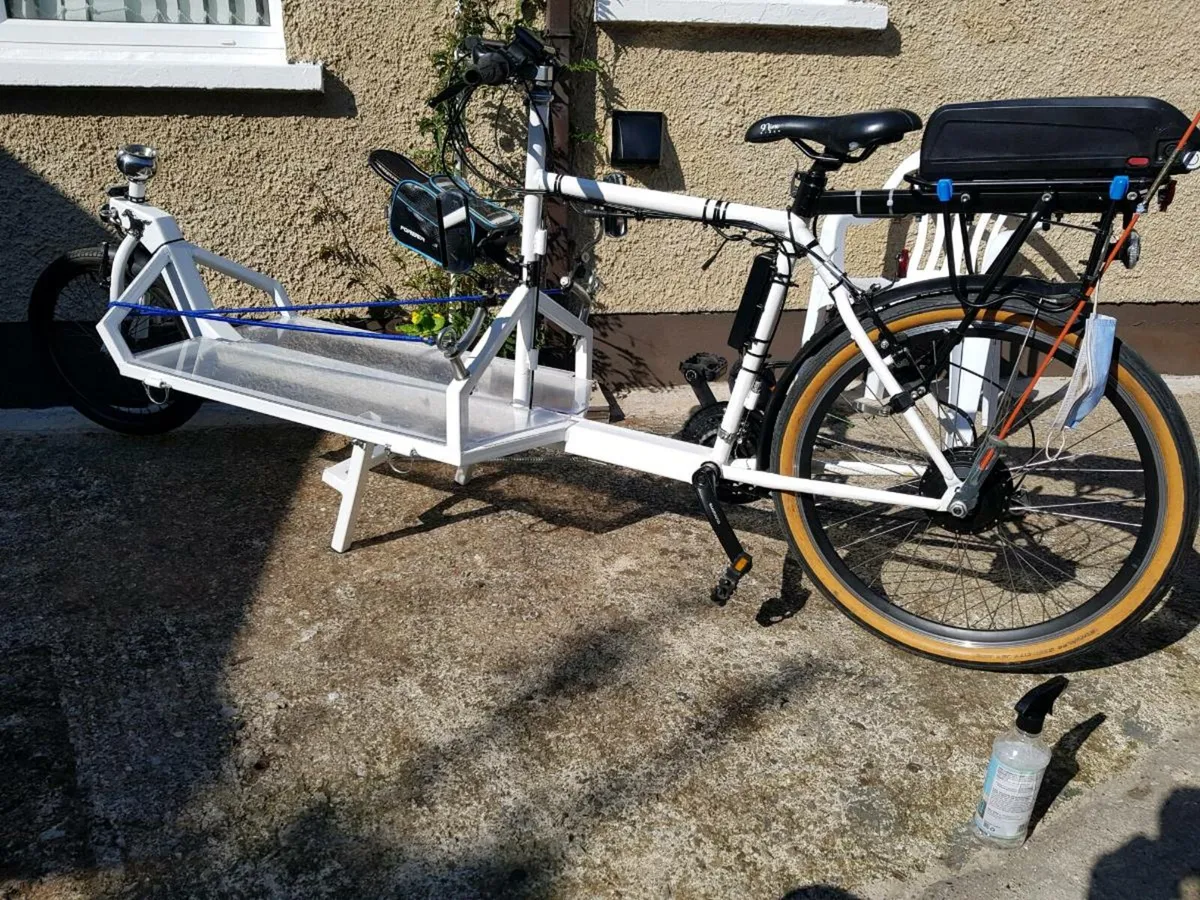 Cargo Electric Bike - Image 1