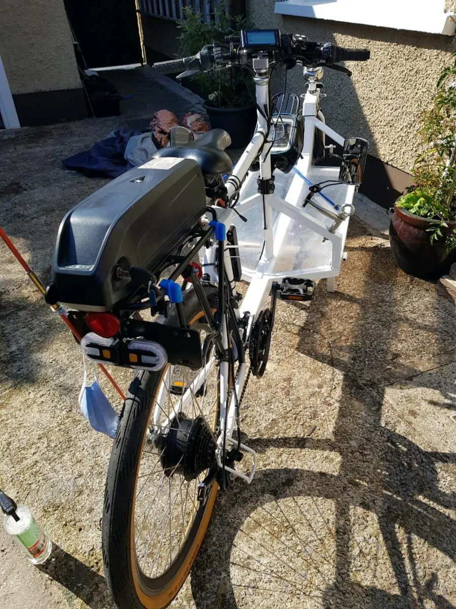 Cargo Electric Bike - Image 2