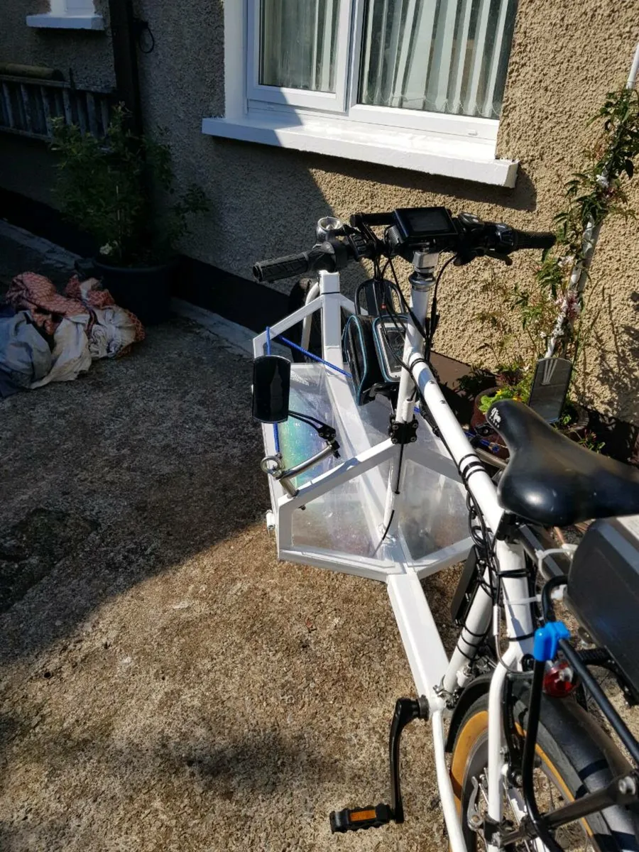 Cargo Electric Bike - Image 3