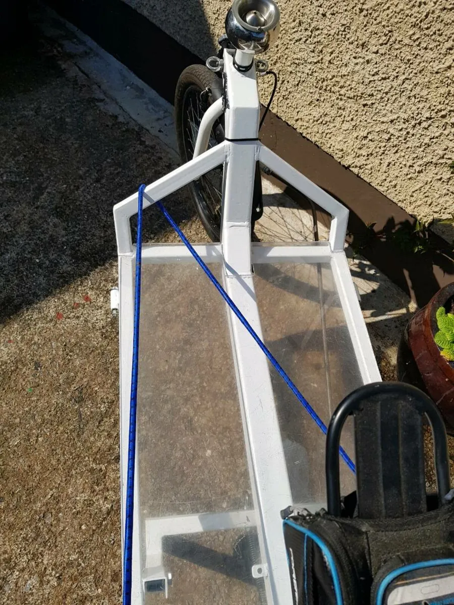 Cargo Electric Bike - Image 4