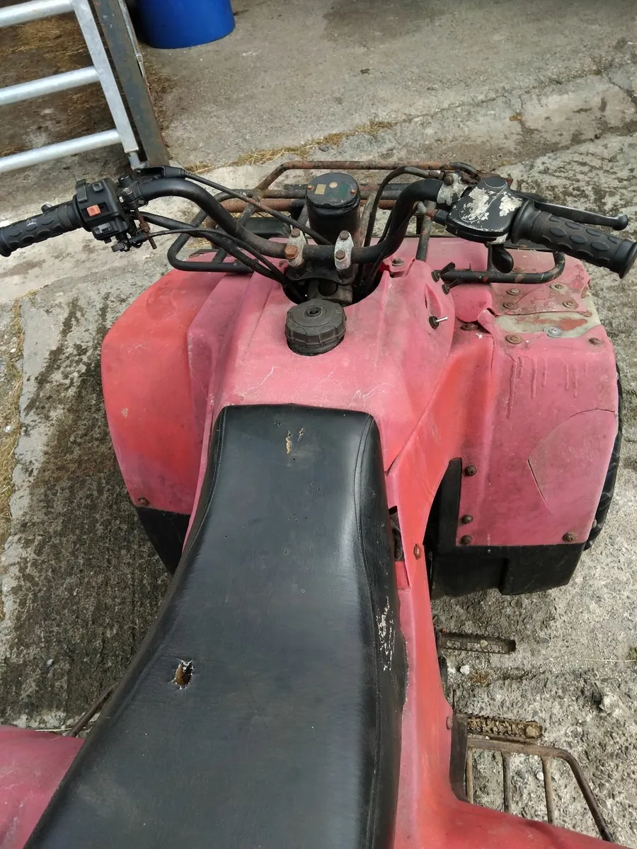 350 cc farm quad - Image 2