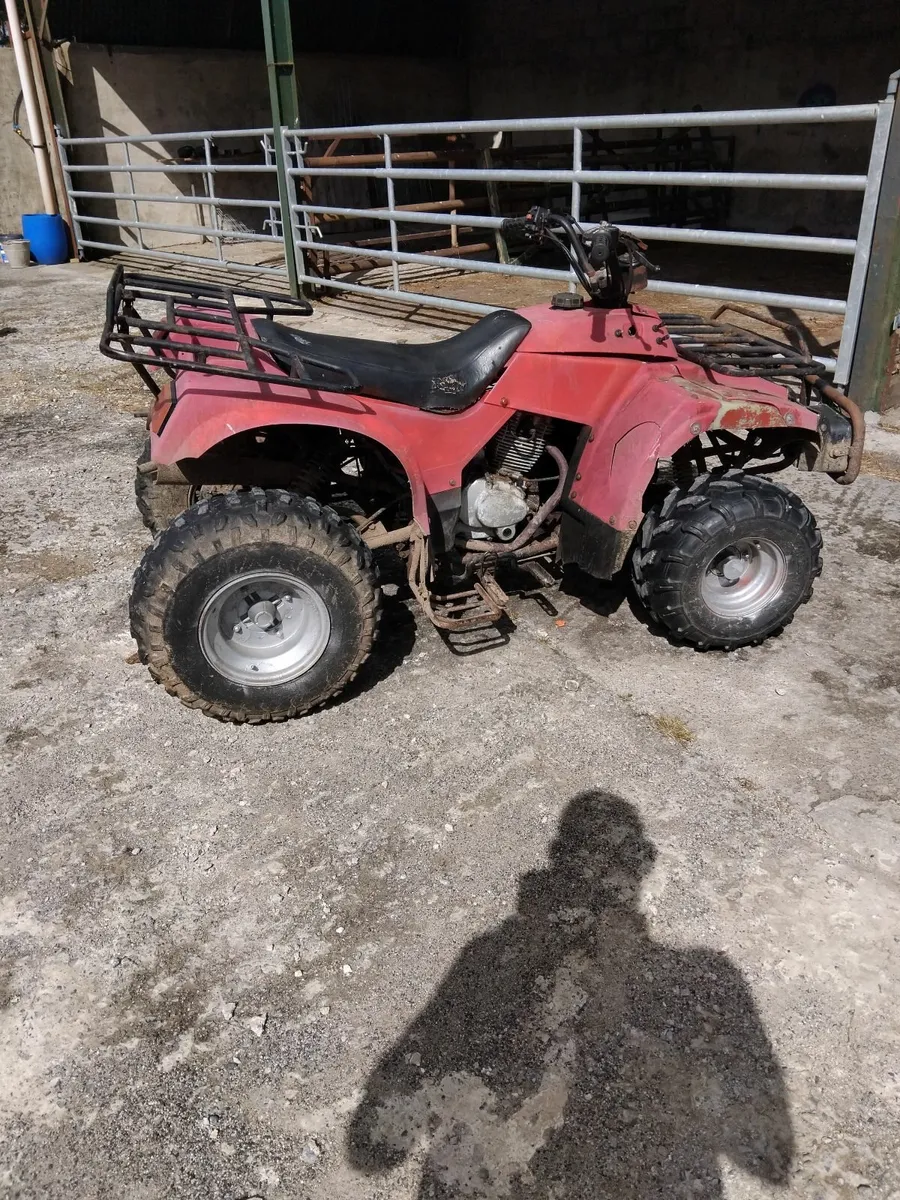 350 cc farm quad - Image 1