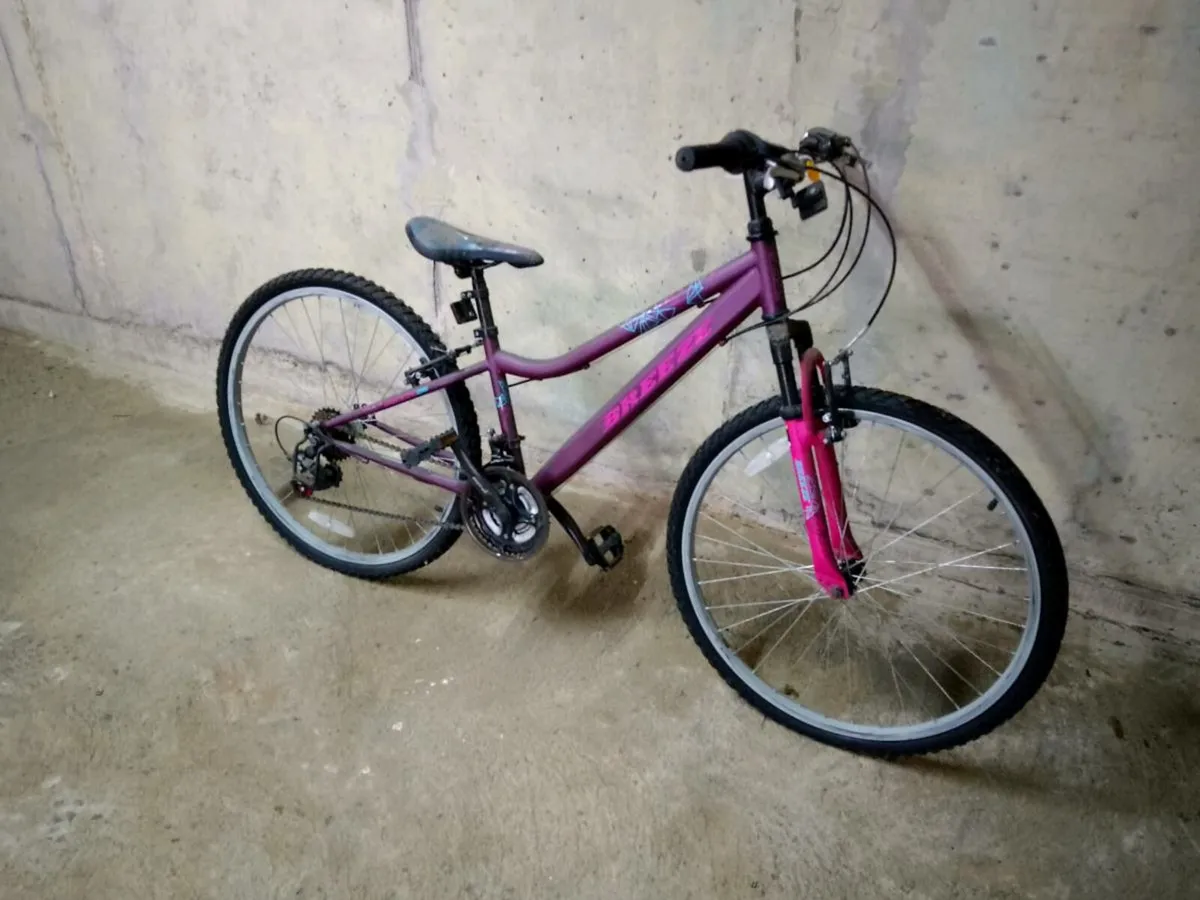 Adult Bike - Image 1