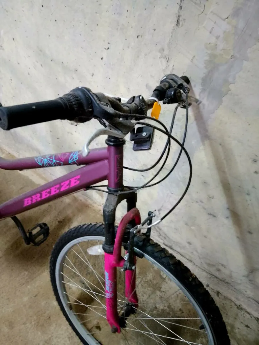 Adult Bike - Image 2