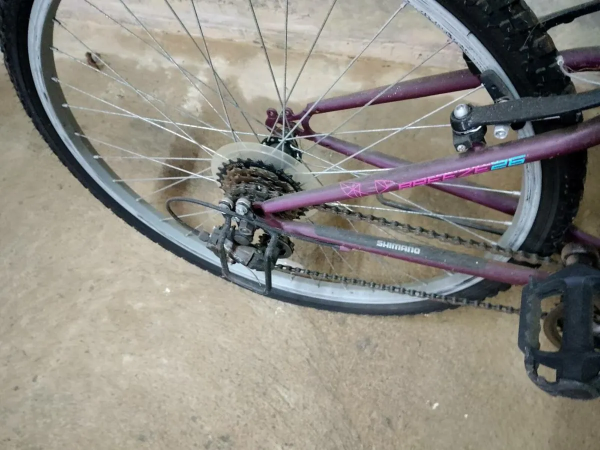 Adult Bike - Image 3