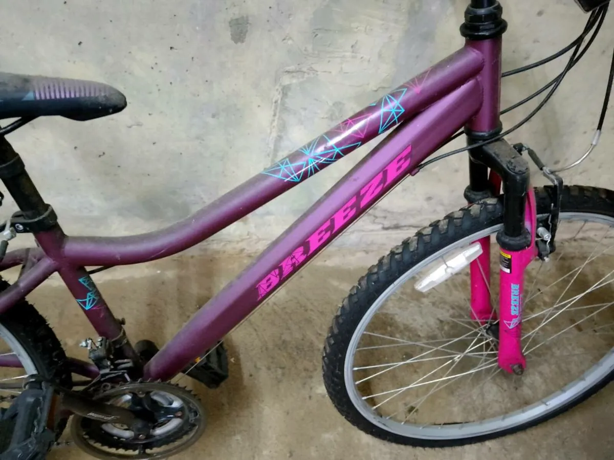 Adult Bike - Image 4