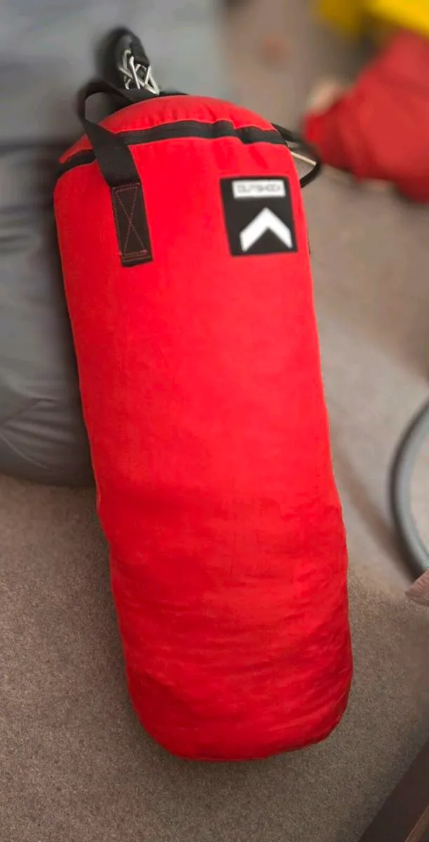 14kg Outshock punching bag with boxing gloves - Image 2