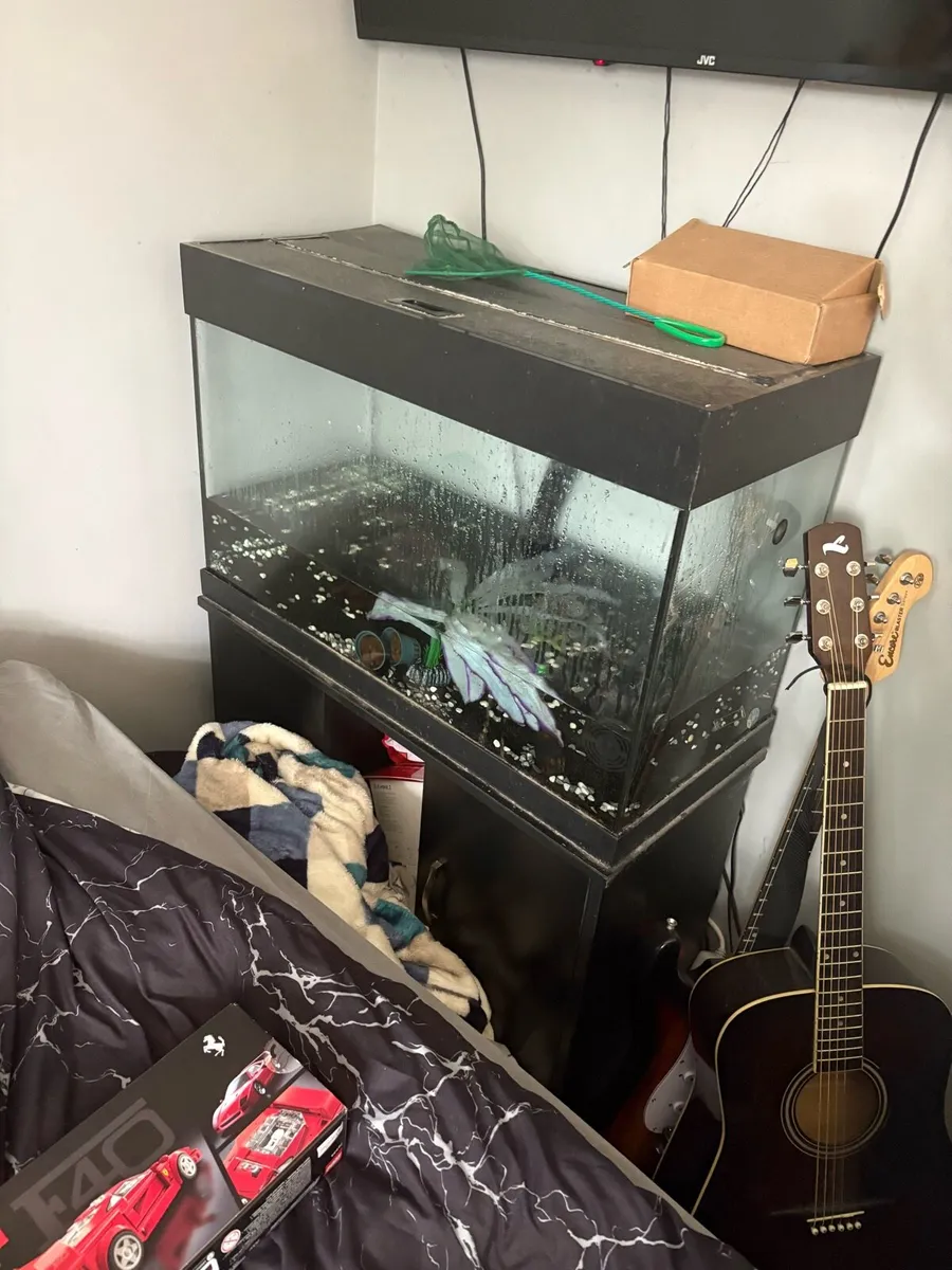 Fish Tank - Image 1