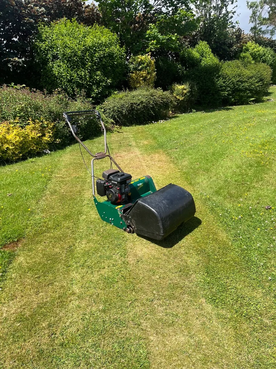 Cylindrical Lawn Mower - Image 1