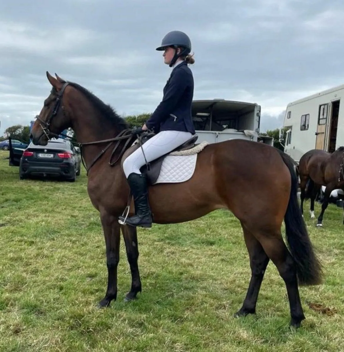 15.3 Connemara X TB - Image 2