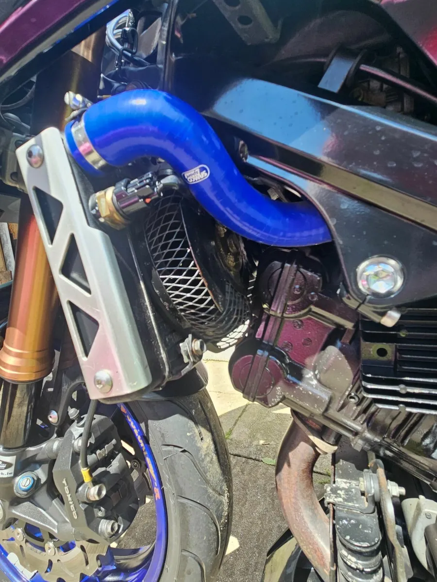Suzuki SV 1000 - Image 2