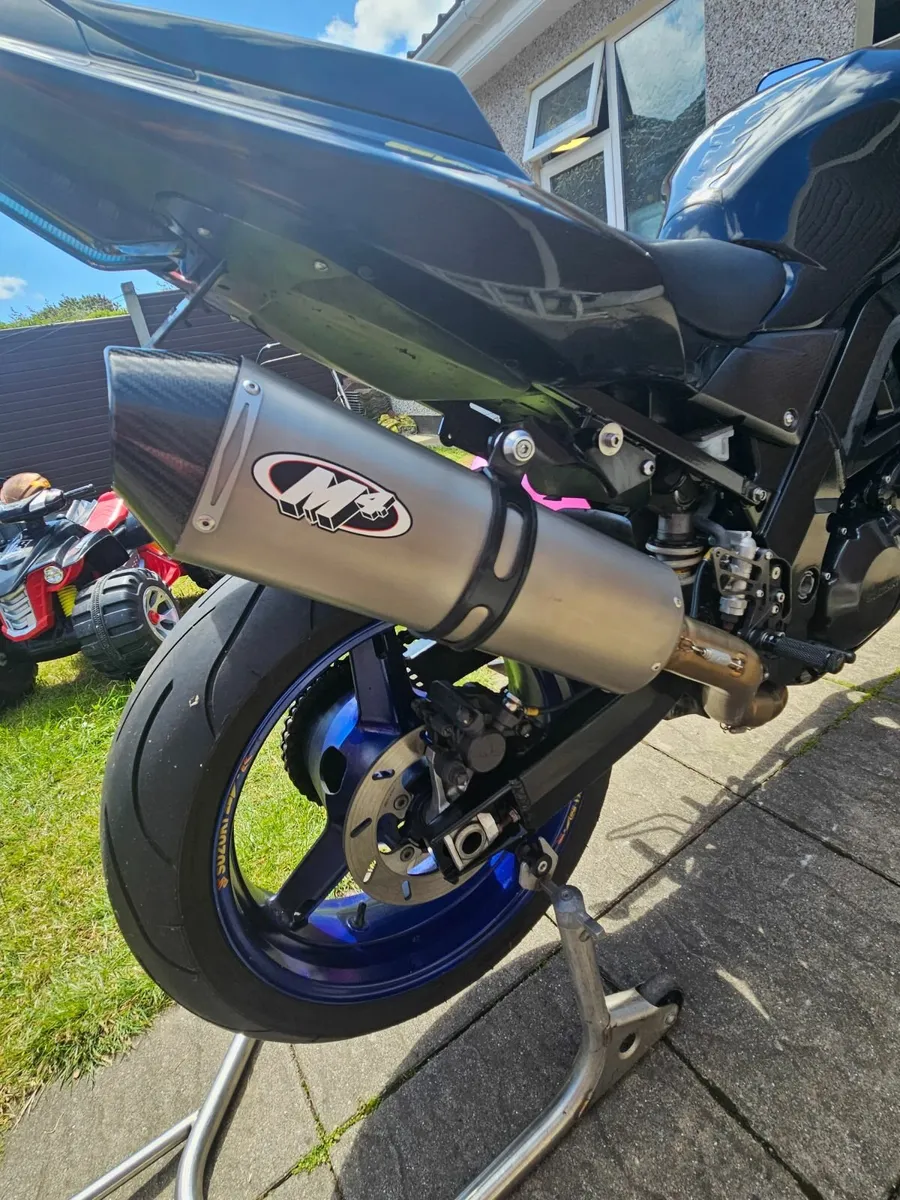 Suzuki SV 1000 - Image 4
