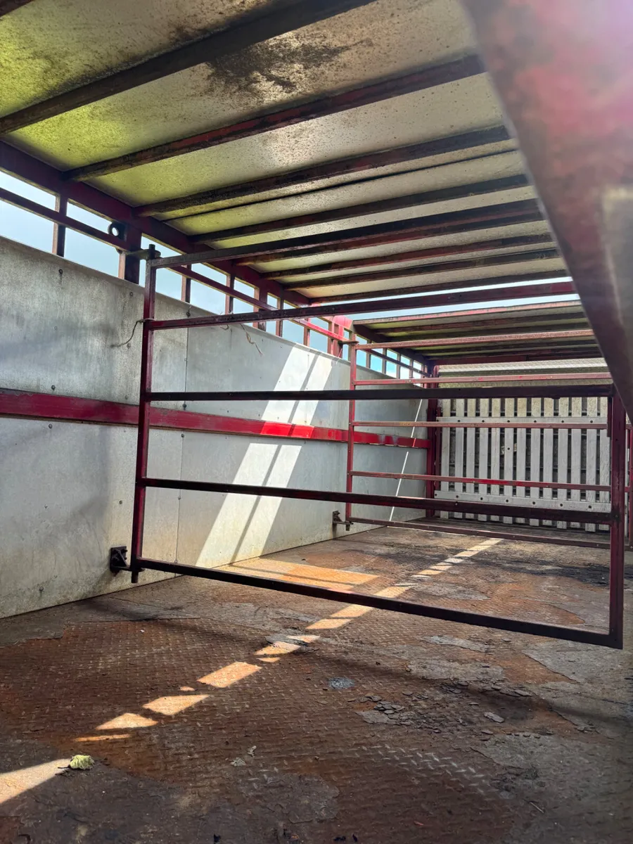 Cattle trailer - Image 4