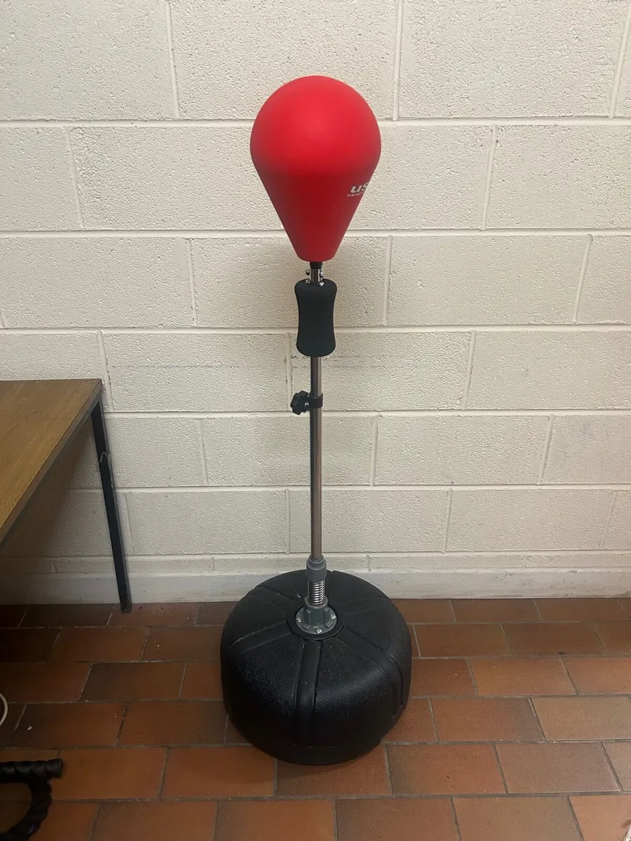 Freestanding Boxing Bag