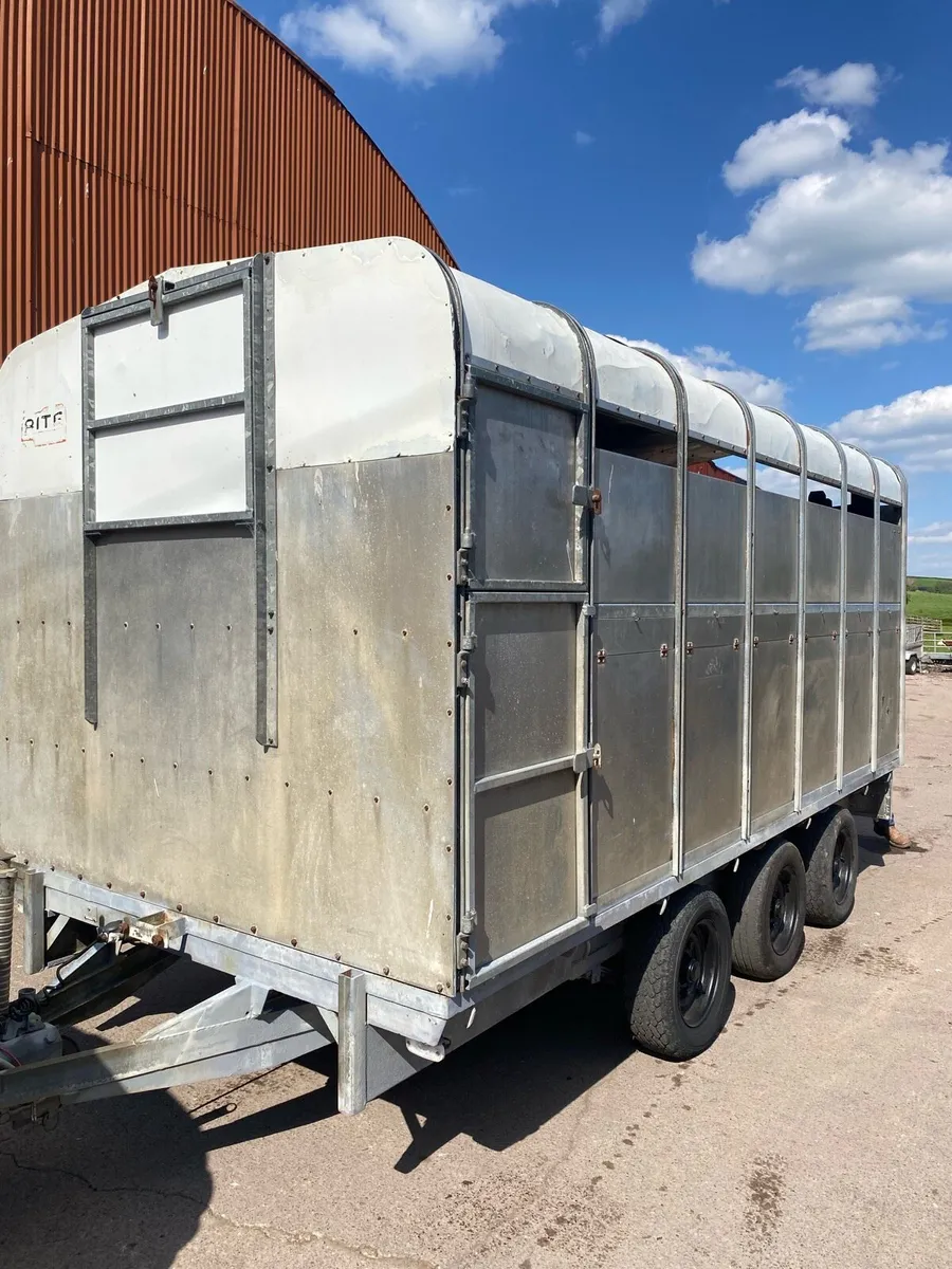 14ftx6.6ft detachable cattle trailer - Image 1