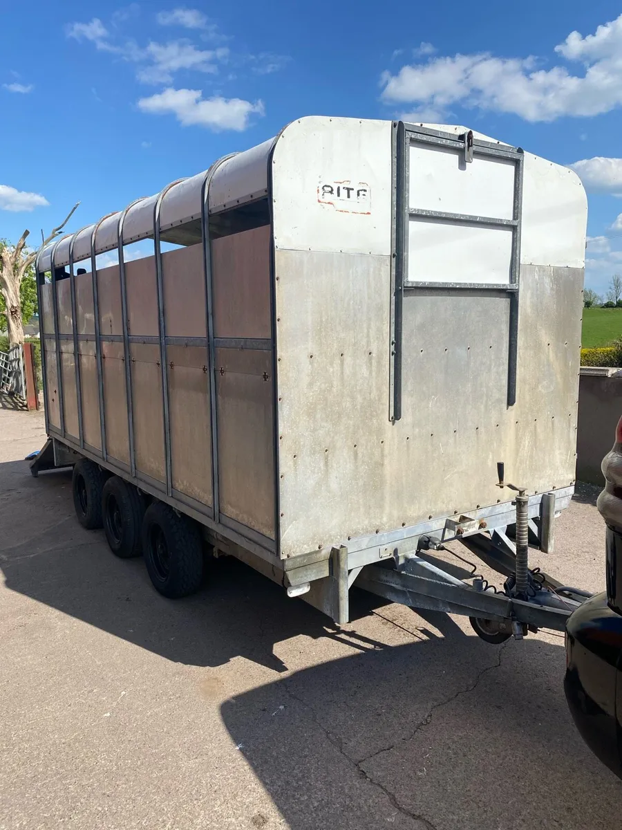 14ftx6.6ft detachable cattle trailer - Image 2