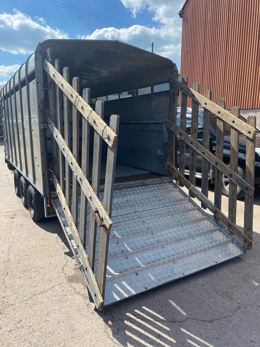 14ftx6.6ft detachable cattle trailer - Image 4
