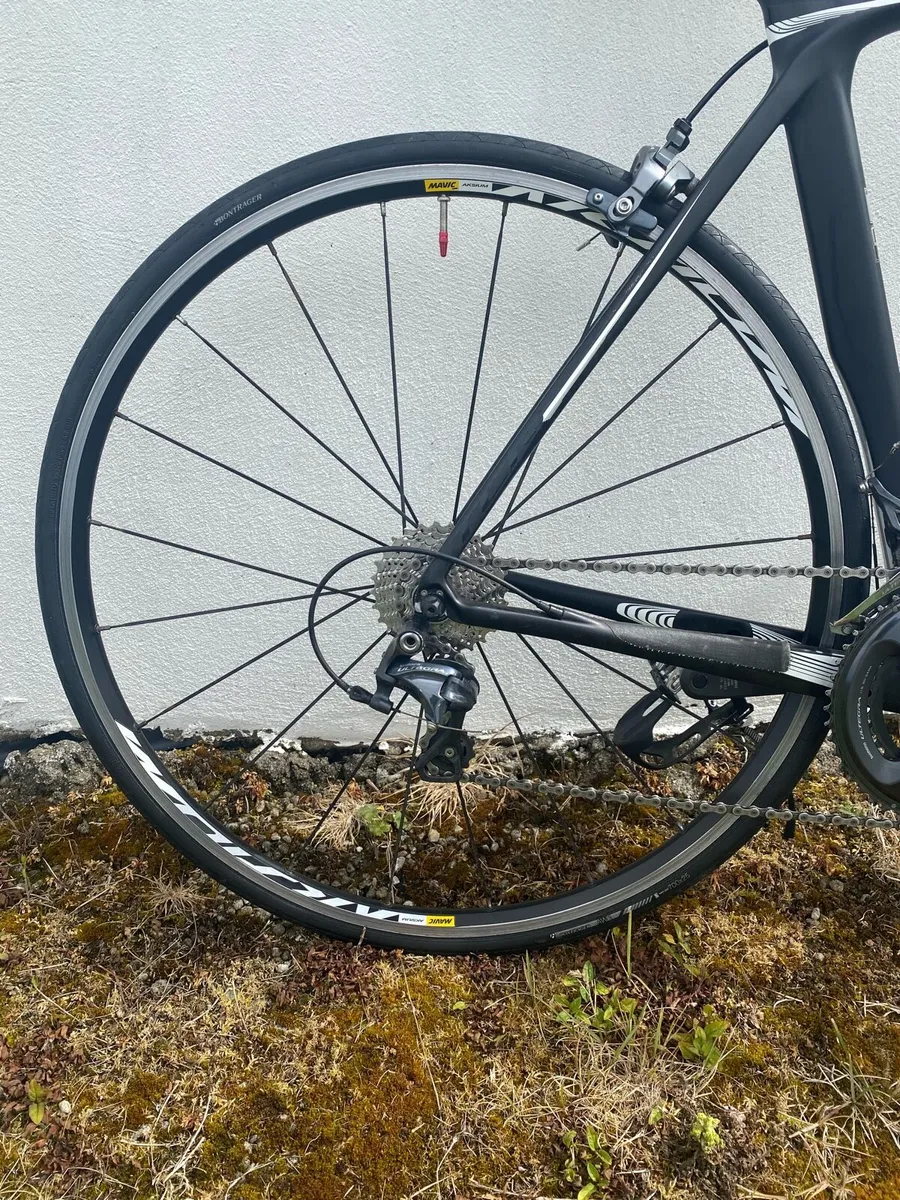 Giant TCR Full Carbon Ultegra - Image 2