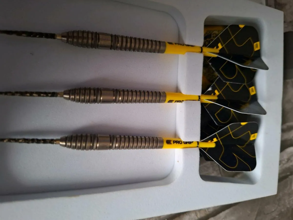Darts - Image 1