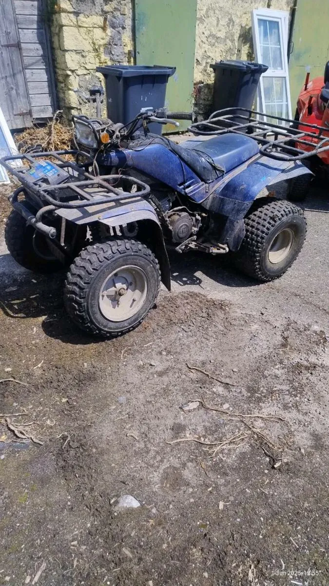Quad - Image 2