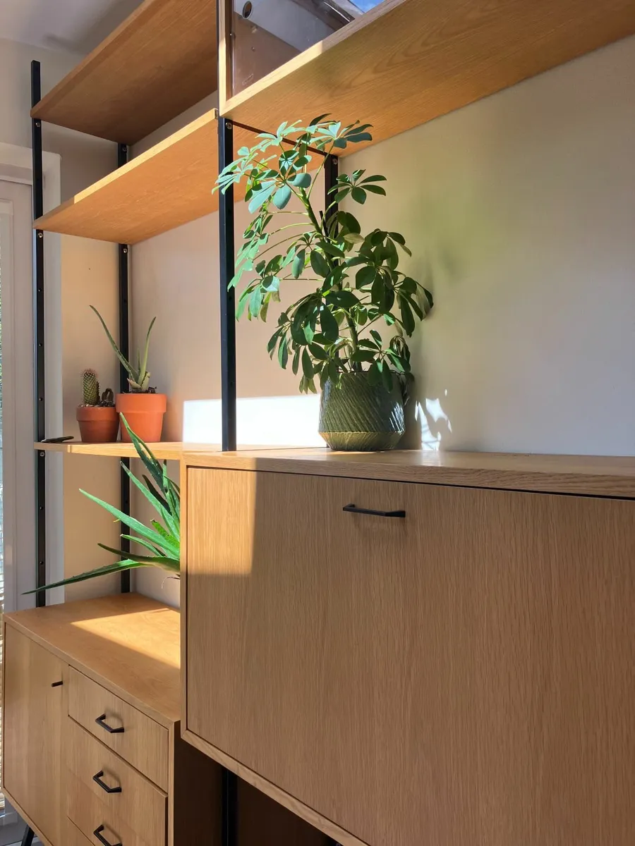 Large Cabinet Storage Piece - Image 4