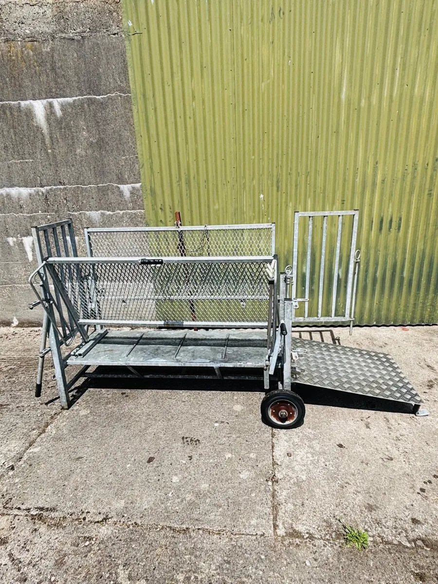 SES Turnover Crate Sheep - Image 2