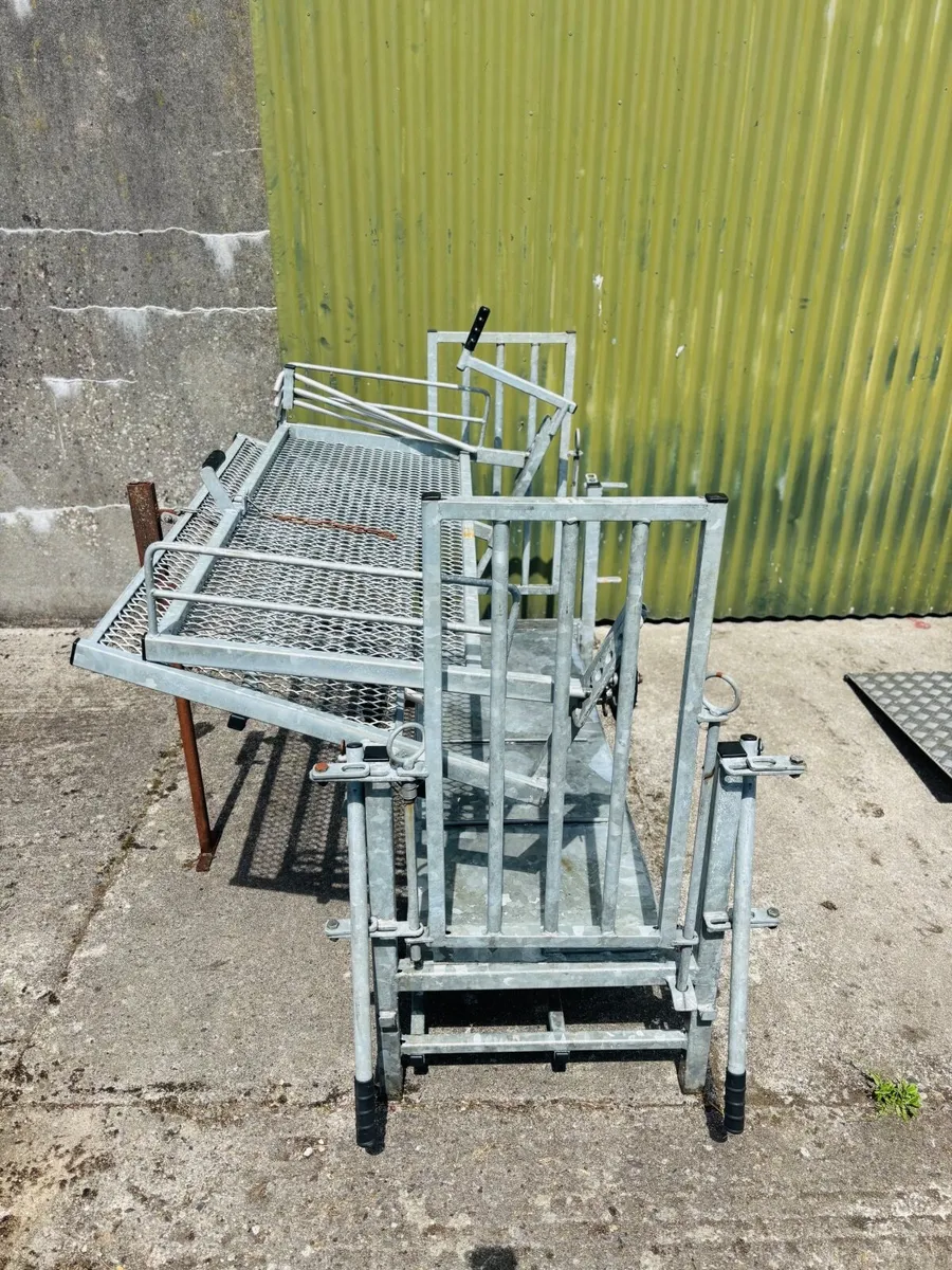SES Turnover Crate Sheep - Image 3