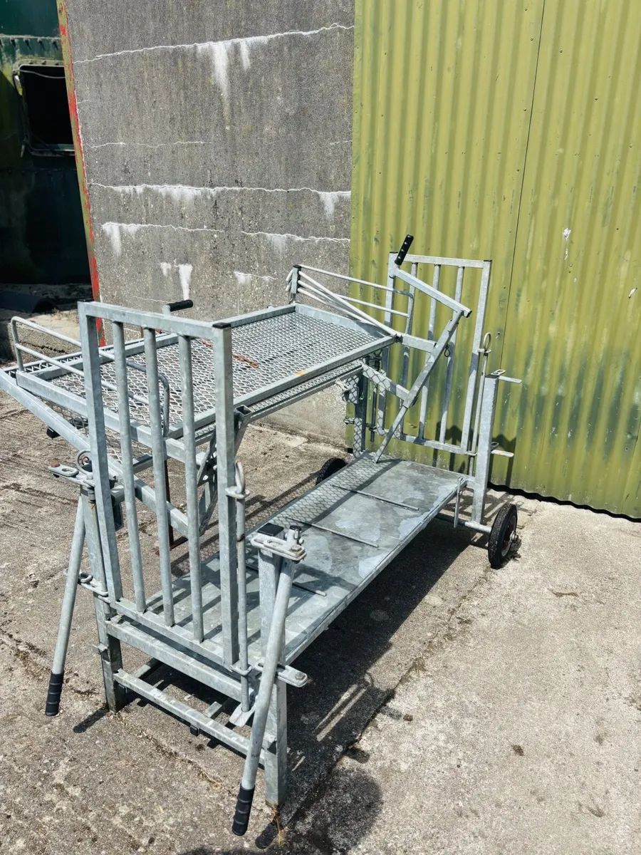 SES Turnover Crate Sheep - Image 4