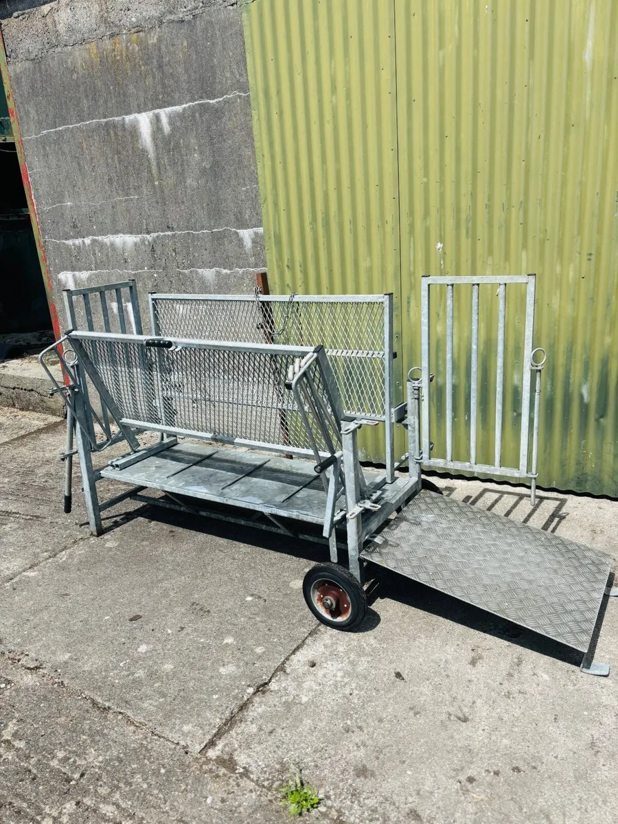 SES Turnover Crate Sheep - Image 1