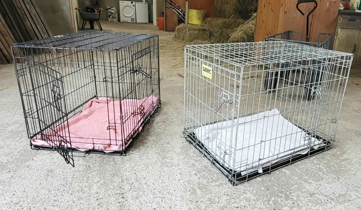 Large Dog Crate