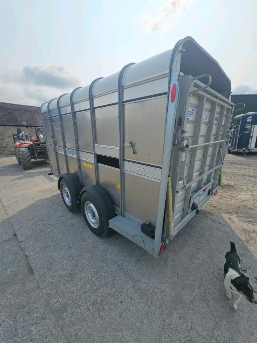 Timed Auction closing this Wednesday, 9th July - Image 1